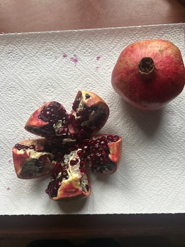 Kunde zeigt einen ganzen und einen aufgeschnittenen Bio Granatapfel von Antonio auf einem Papiertuch.