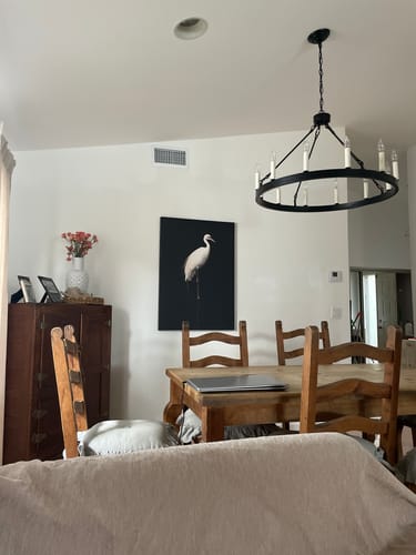 Customer photo review of Midnight Crane No1 Print