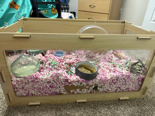 Customer photo review of Coziwow 32''L Acrylic Chewproof Hamster Cage