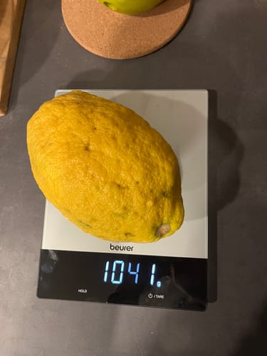 Die Cedri-Zitrone des Kunden auf einer Küchenwaage, die ein Gewicht von 1041 Gramm anzeigt.