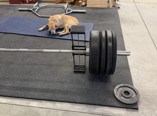 Customer photo review of Back Bar