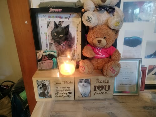 Customer photo review of Pet Memorial - You Were My Favourite Hello And My Hardest Goodbye - Personalised.