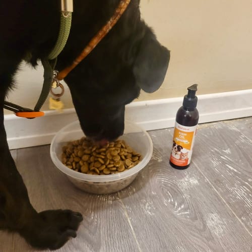 Customer photo review of Kedi & Köpekler İçin Omega 3-6 Somon Yağı | Tüy Dökülmesine ve Kalp Sağlığına Destek | 200ml