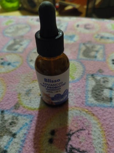 Customer photo review of 5x Blisso Advanced Cat Probiotic (Buy 2 Get 3 Free)