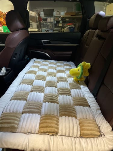 Customer photo review of Luxe Dog Bed - For The RuffRover 2.0™