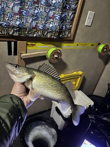 Customer photo review of Tungsten Crappie Jig Head Kit | Crappie Jig Head Combo