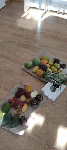 Ein Kunde zeigt die vielen bunten Früchte aus seiner Probierbox "Exotische Früchte", die auf dem Boden ausgelegt sind.