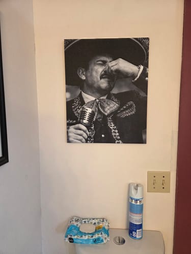 Reviewer's El Mariachi Guacala canvas art hung on a bathroom wall above a toilet.