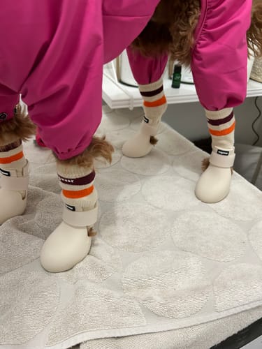 Customer photo review of WagWellies® by wagwear