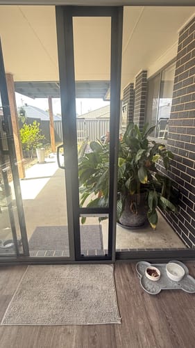 Customer photo review of Pet Door Inserts
