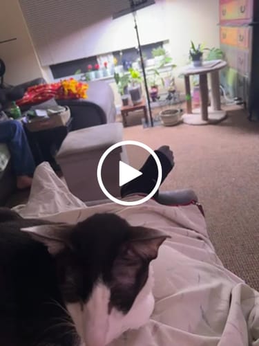 Customer video review of Mama Bear Nerve Relief Lotion