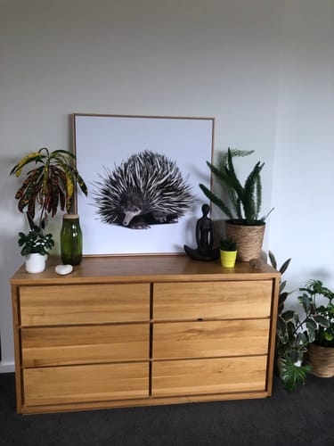 Customer photo review of The Echidna