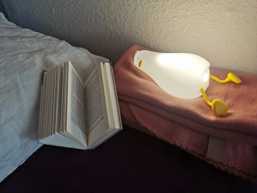 Customer photo review of DuckyLay Duck Lamp™