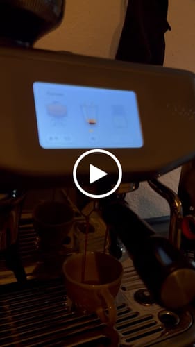 Customer video review of Best Friends Crema King