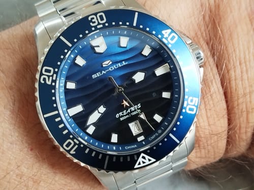 Customer photo review of Ocean Series Pro 300m Waterproof Gradient Wave-textured Dial Diving Watch 41mm