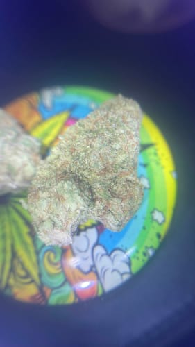 Customer photo review of Diesel Poison - Indoor THCA