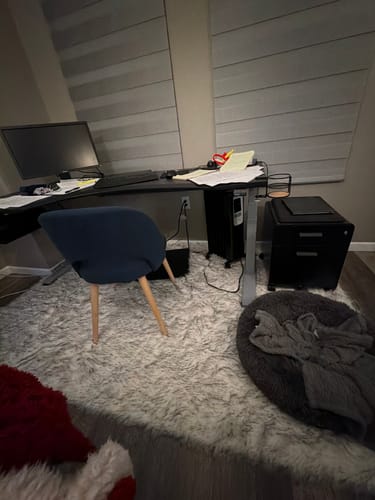 Customer photo review of Luxury Washable Faux Sheepskin Rug - Pet & Stain Proof Shag Carpet for Home