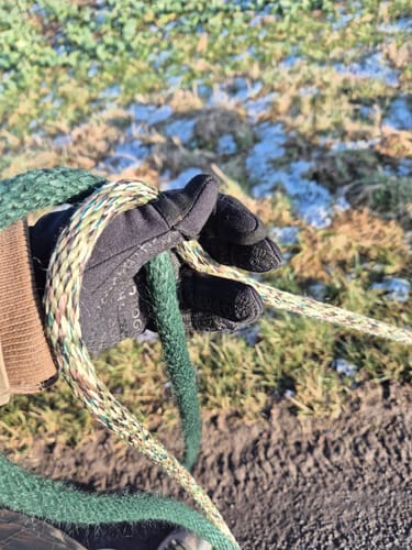 Kundeanmeldelse med foto af DogCoach Allround Godbidshandsker | Unisex | Sort | Miley