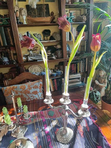 Customer photo review of Candle Vase 3-Pack