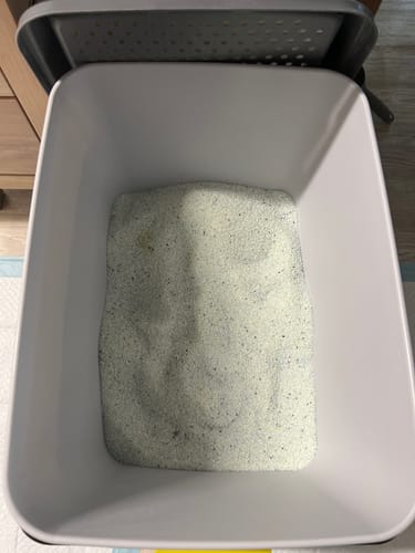 Customer photo review of Fit Litter PLUS - 1 month supply - 2 cat