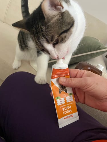 Customer photo review of Kediler İçin Multivitamin Macun + Vitamin Damla Seti | Tüy Dökülmesi ve Bağışıklık Desteği | 100g + 50ml