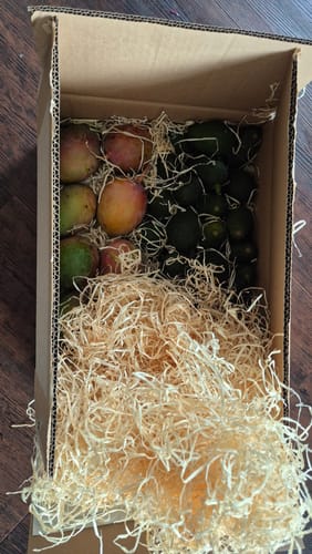 Kunde zeigt die geöffnete Retterbox mit frischen Mini-Mangos und Mini-Avocados im Verpackungsmaterial.
