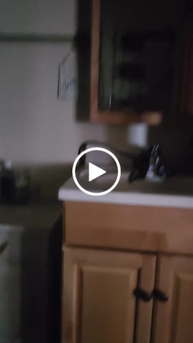 Customer video review of Wild Flame Pheromone Cologne