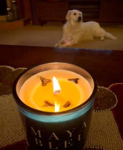 Customer photo review of The Original Shark Tooth Candle