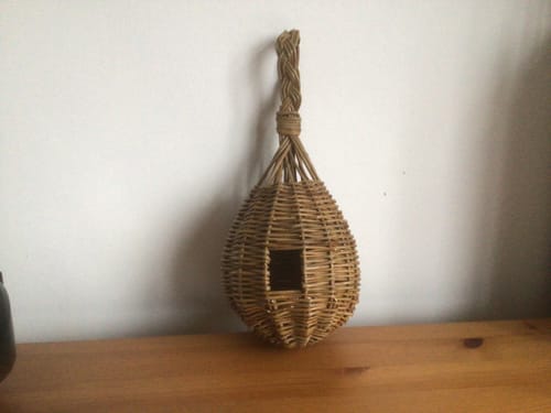 Customer photo review of The Bird Box - Course and Kit