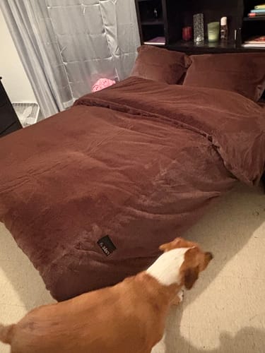 Customer photo review of The CYRA Supreme Velvet Bedding Set