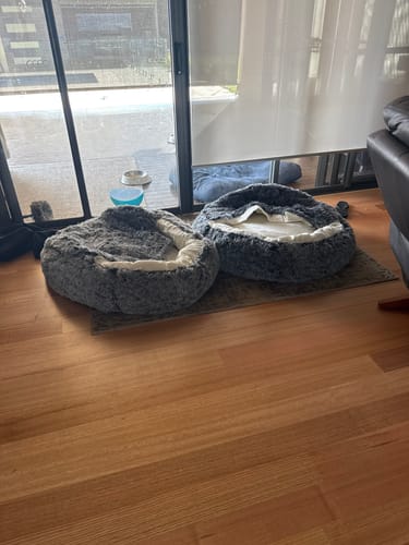 Customer's two XL Pet Cave Dog Beds placed side-by-side on a wooden floor.