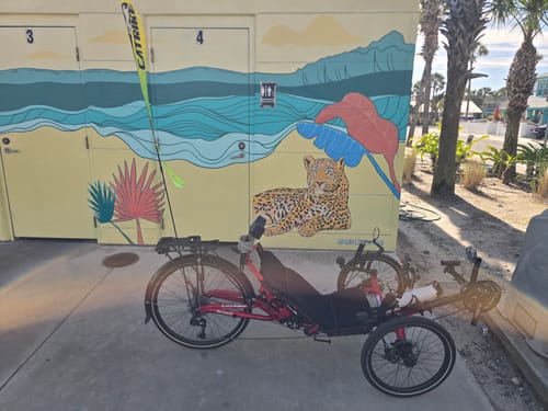 Customer photo review of Catrike Logo Flag