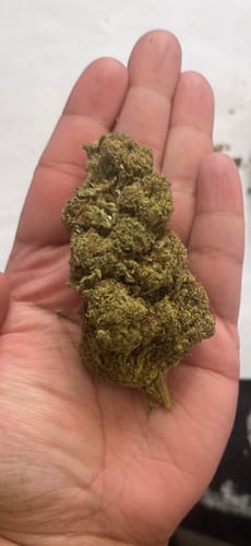 Customer photo review of Gorilla Glue Greenhouse THCA