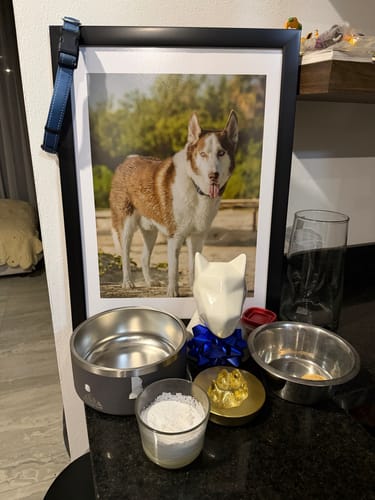 Cliente muestra el cuadro enmarcado vertical del collage como parte de un altar conmemorativo para su perro.