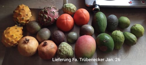 Ein Kunde zeigt die frische, vielfältige Fruchtauswahl seiner erhaltenen Obstbox auf einem Tisch.