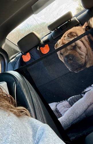 Customer photo review of Luxe Dog Bed - For The RuffRover 2.0™