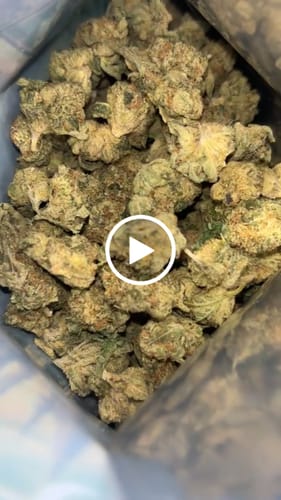 Customer video review of AK-47 - Greenhouse THCA (Smalls)