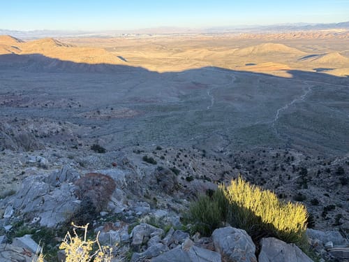 Customer photo review of E Ride Pro SS 3.0