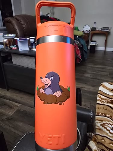 Customer photo review of Rambler Seasonal Straw Bottle | 18 oz