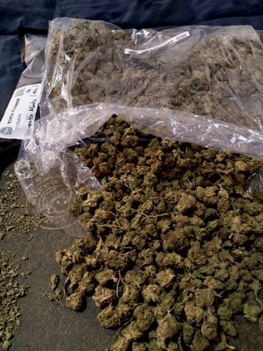 Customer photo review of THCA Flower Budget Buds