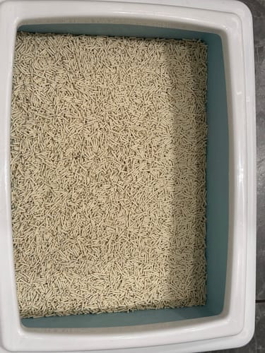 Customer photo review of SAGAPO Żwirek tofu dla kota zbrylający Naturalny 2,5 kg