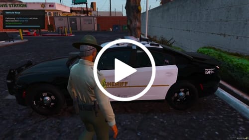 Customer video review of LSSD Livery Package