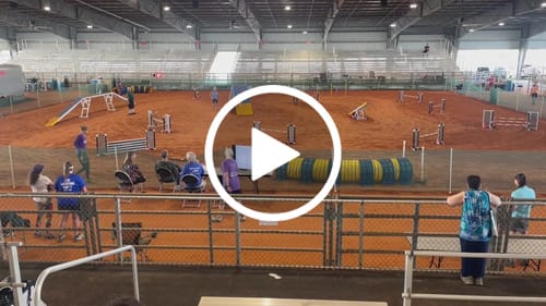 Customer video review of 1-TDC Joint & Muscle Health Daily Supplement - 4 Bottles (360 Soft Gels)