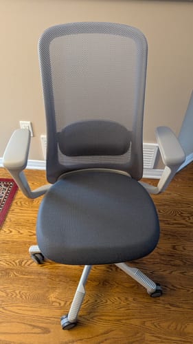 Customer photo review of SoFi Active Chair