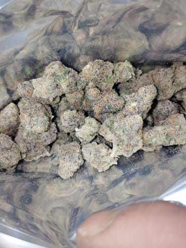 Customer photo review of Ghost Train Haze THCA Flower
