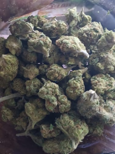 Customer photo review of Shipping Protection by Route