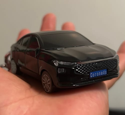 Customer photo review of BlazeGuard Key for Ford (FORD-1)