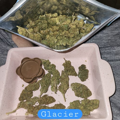 Customer photo review of Bulk THCA Flower Pounds