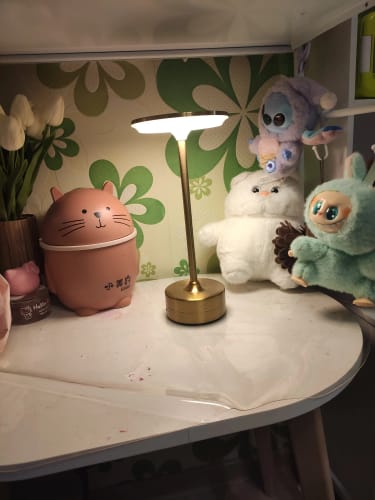 Customer photo review of The EMBAR Lamp.
