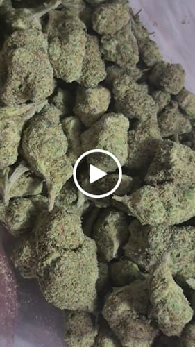 Customer video review of Gas Face - Bulk - (Indica)